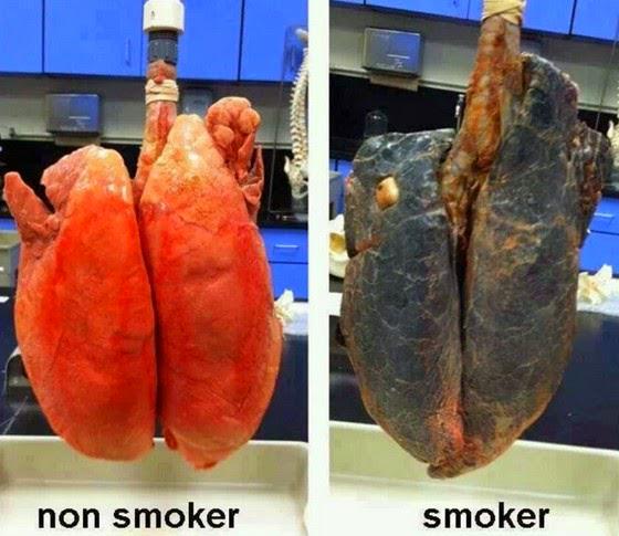 Tshokiddo's tweet photo. Let me leave this Here http://t.co/cmmgHcFu8c