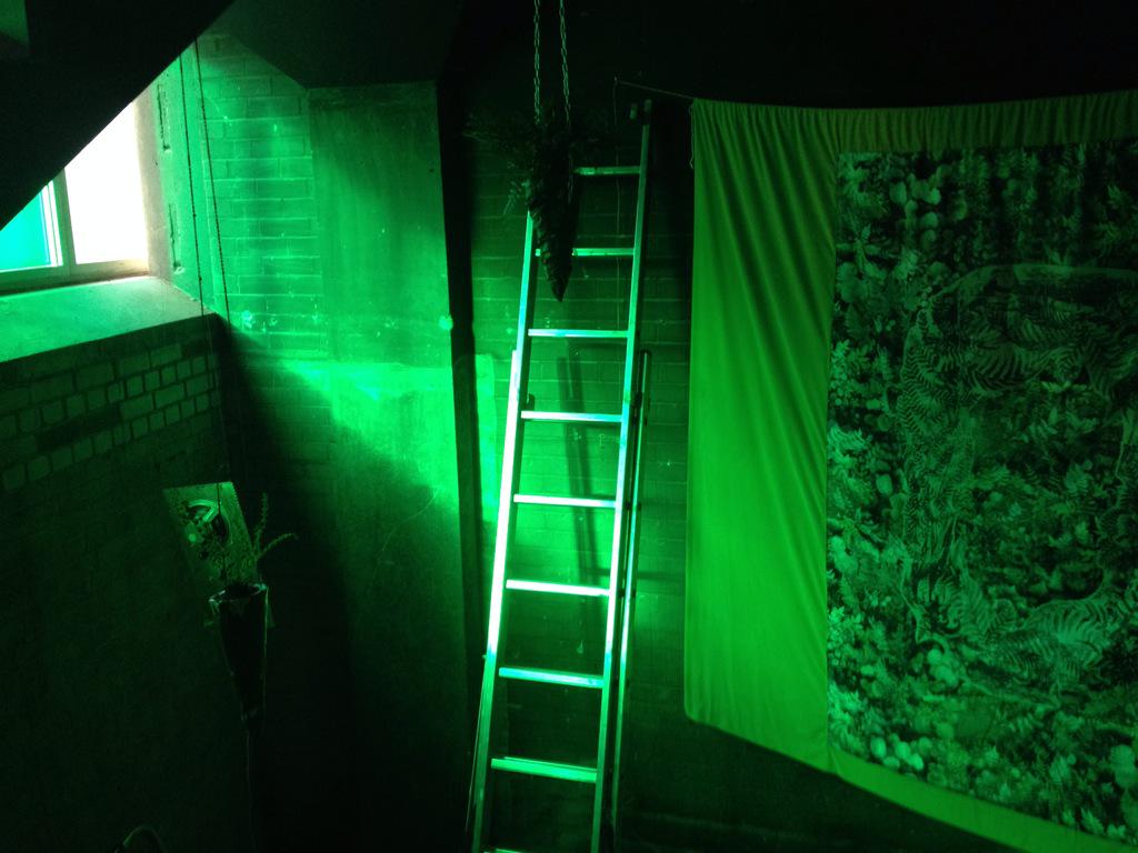 Install for 100 Year Project @_SpikeIsland for #SpikeOpen2015 open 3pm daily, tomorrow night at 8, don't miss the bog