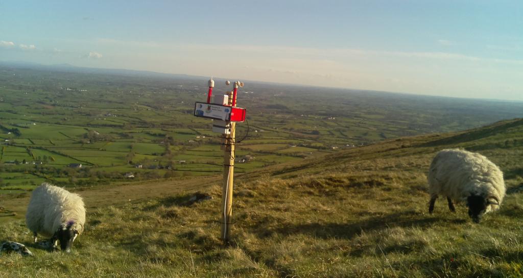 InnovatorsCHS's tweet image. Grass trimming in progress at #PiView #CrigRow site.
