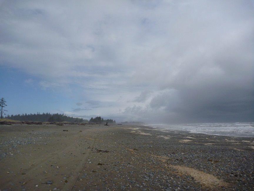 hgtourism's tweet image. In between squalls at Cape Fife (East Beach)

Linda Leitch