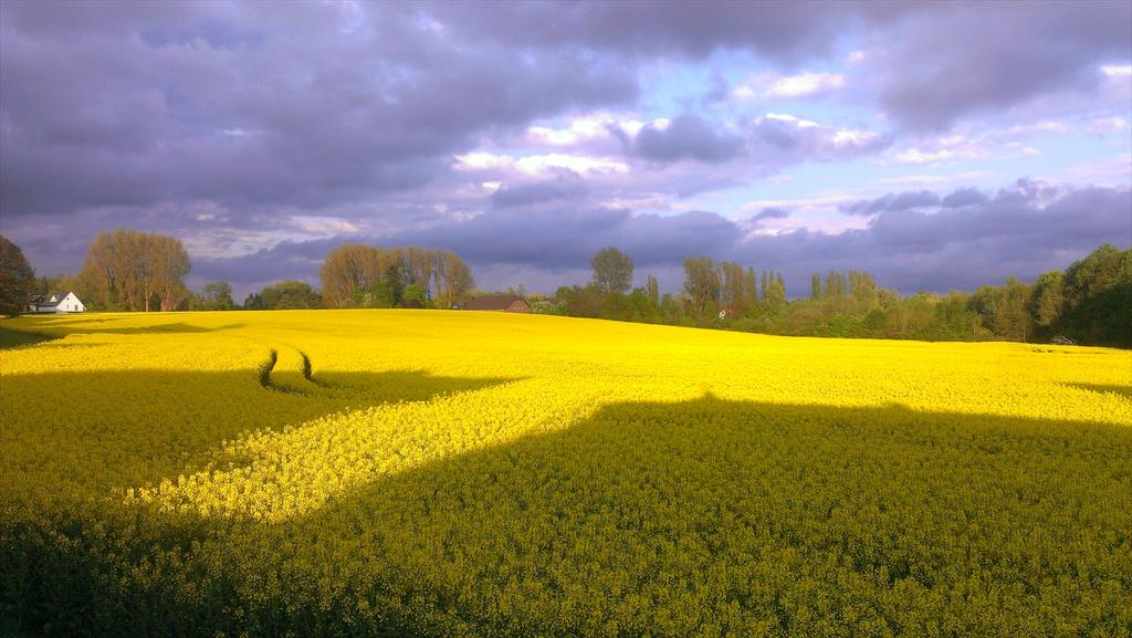 Have to share this. #fieldsofgold #SpringStatement