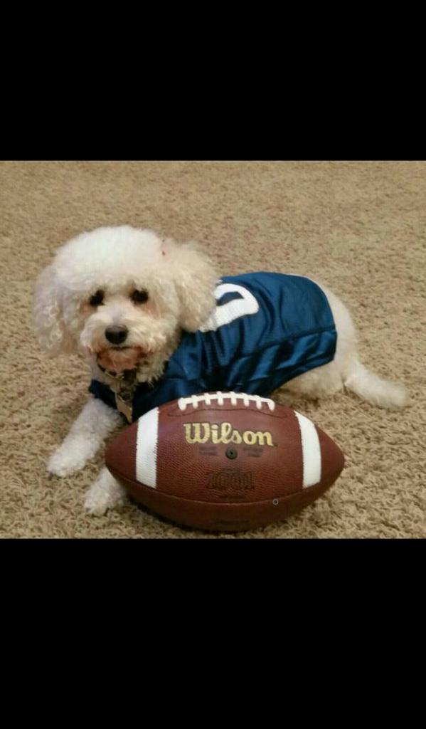 tessaliberi's tweet photo. With the 52nd pick of the 2015 draft the @Eagles select Jazzie, Mariota's future slot receiver #DraftDayPredictions http://t.co/1VbnmZqZGE