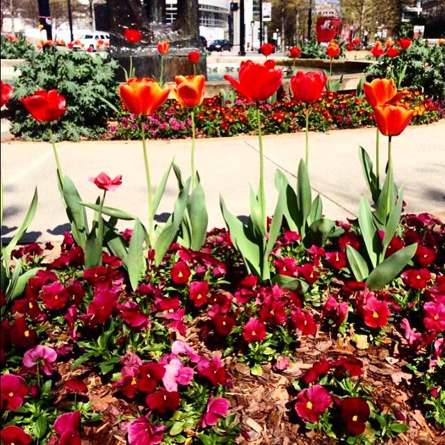 MLWeddingsATL's tweet photo. April showers ☔️ bring May flowers! 🌺 #jezebelmagazine #modluxatl http://t.co/PpwE2p3DUC