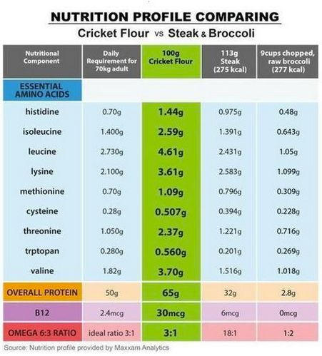 SENZUfoods's tweet photo. Here is a nutrition profile comparing #CricketFlour with Steak and Broccoli #NutritionSolution http://t.co/bpqoZuBPTe