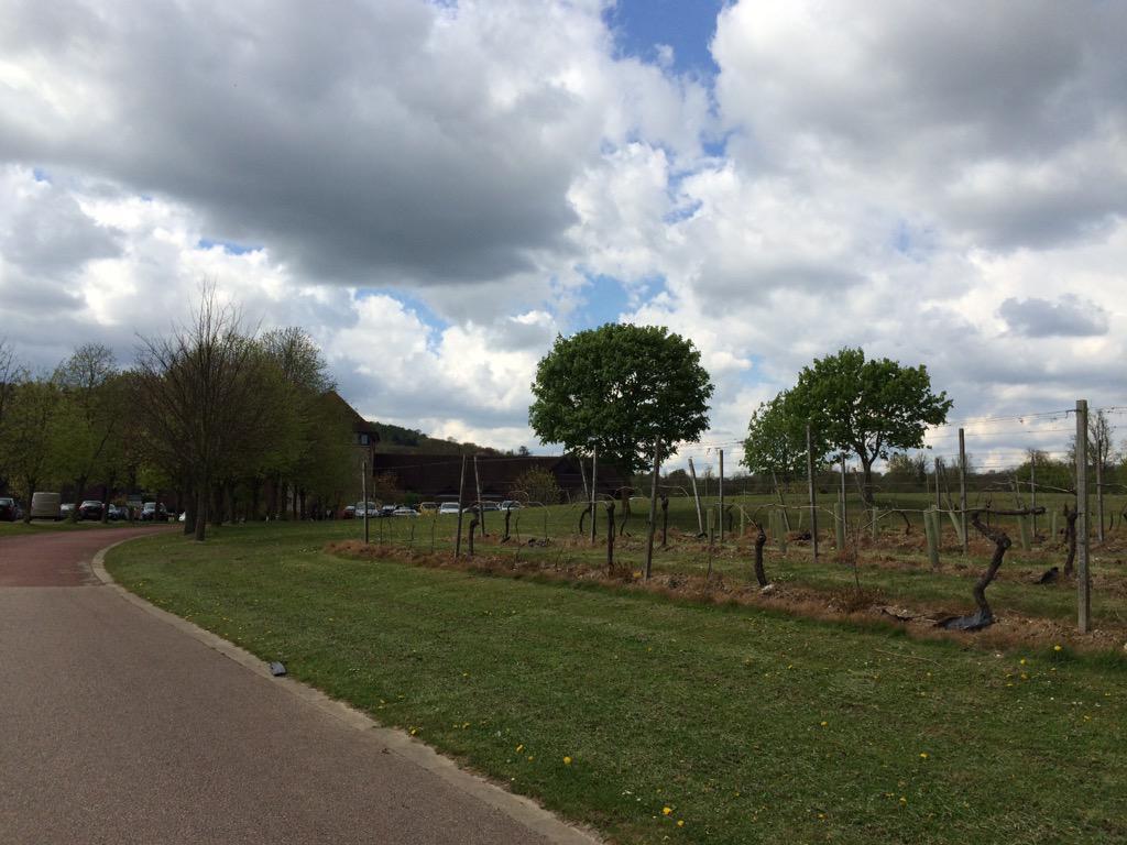 SurreyHillsMusicFest (@surreyhillsfest) on Twitter photo Just arriving at <a href="/denbiesvineyard/">Denbies Wine Estate</a> to set up for the first concert with #michaelcollins <a href="/ASitkovetsky/">Sasha Sitkovetsky</a> <a href="/WuQianpiano/">Wu Qian</a> Just arriving at <a href="/denbiesvineyard/">Denbies Wine Estate</a> to set up for the first concert with #michaelcollins <a href="/ASitkovetsky/">Sasha Sitkovetsky</a> <a href="/WuQianpiano/">Wu Qian</a>