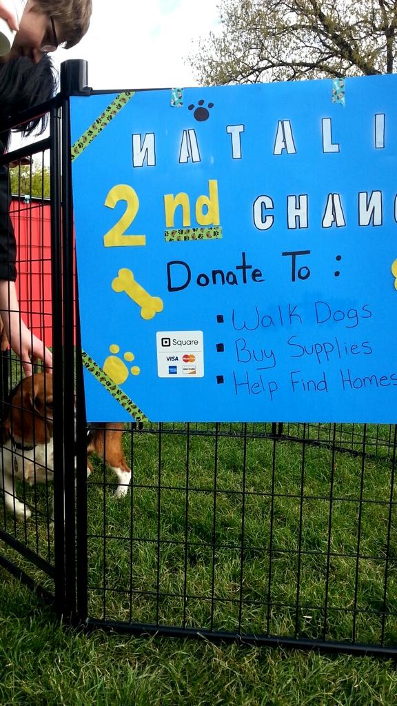 Come out to Memorial mall today and pet your favorite puppy from Natalie's 2nd Chance shelter from 9:30-3.