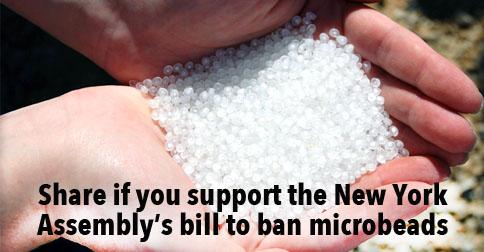 EcoWatch's tweet photo. UN Scientists Call for Action on Marine Microplastics, New York Assembly Passes Microbeads Ban http://t.co/seQYJ2igAB http://t.co/OQiWNRl79y