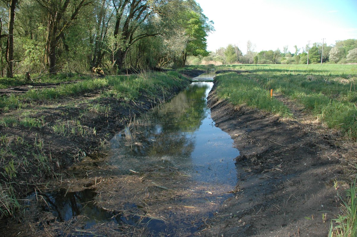 Grabenumgestaltungen in Durmersheim zum Wohl von Libellen und Fischen erfolgreich beendet.
