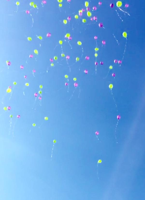 Cora_Carsyn's tweet photo. Rest in peace beautifulππ #RIPHannahWilson http://t.co/HF34pdICcw