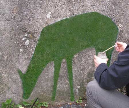 WestlinkBestlnk's tweet photo. One idea shared with us was to use Moss Graffiti on some parts of the Westlink to make it less grey and concrete. http://t.co/E8BkoOXE8l