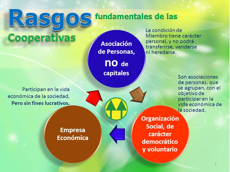 COOPINFA's tweet photo. http://t.co/nnsLqVBk2U