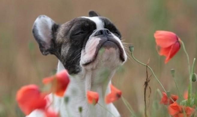 BrookfieldLC's tweet photo. Happy #Thursday Everyone...Nearly there....we can smell the #weekend http://t.co/0plk37QpRK