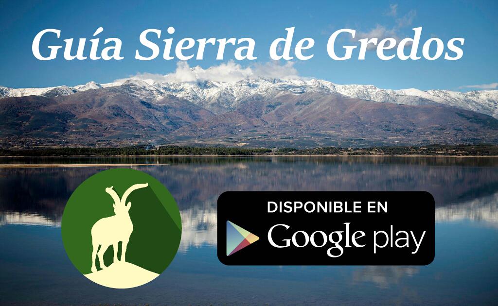 GredosApp's tweet photo. Descargate ya la Guía de la Sierra de Gredos desde Google Play https://t.co/QApuo36Mxs http://t.co/kgEHcwAysl