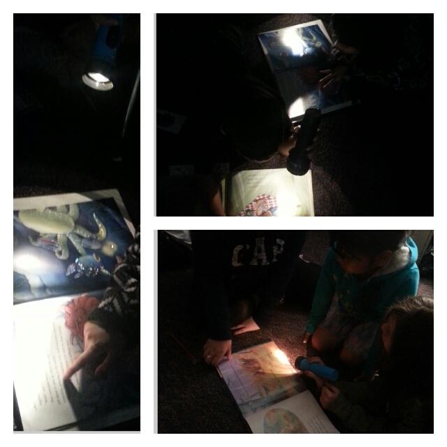 _vanessadb's tweet photo. #bbereads Flashlight reading really LIGHTS them up. Haha... http://t.co/1cW5Ty7Akd