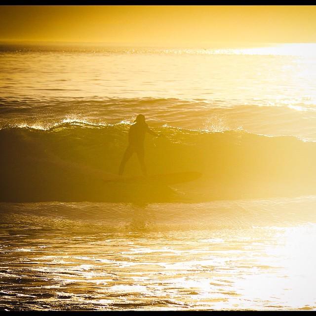 Tupac_music's tweet image. California Dreamin'

#sunsetsurfing #californiadreaming #surf #surfer #californiaLove #californiasurfing #southbay …