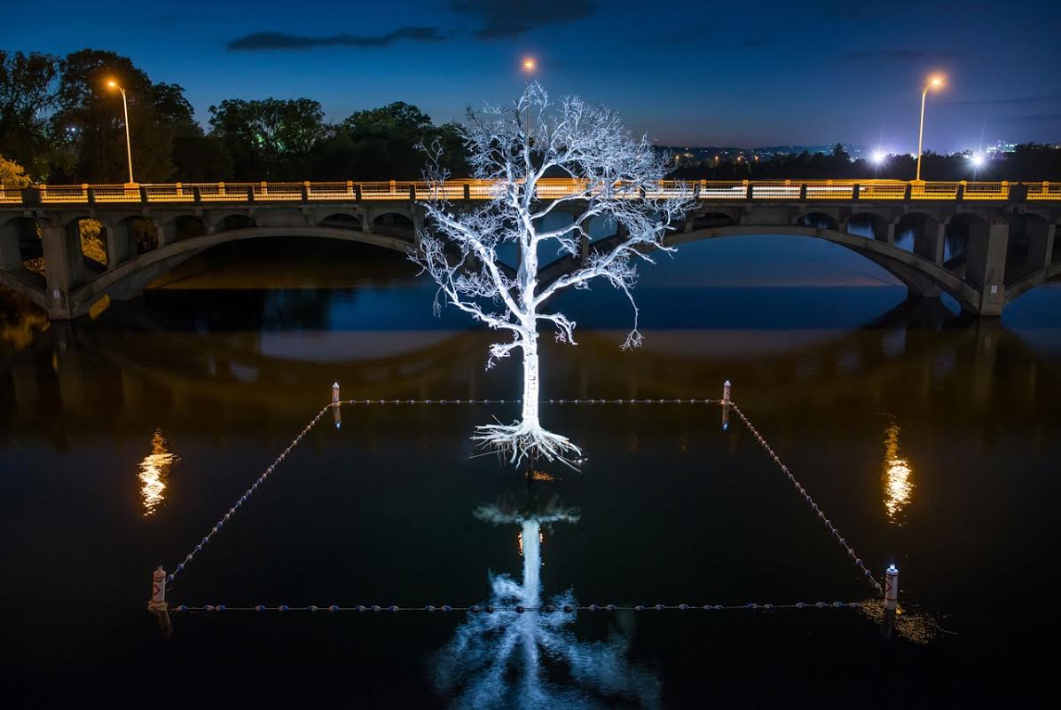 rauschfound's tweet photo. #TBT @WTWGallery's poignant  #THIRSTart memorialized the loss of 3 million+ trees in TX during drought. #30EarthDays http://t.co/R9afZzhMTs