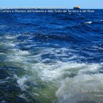Photo by Proteggiamo il mare (@mareprotetto)