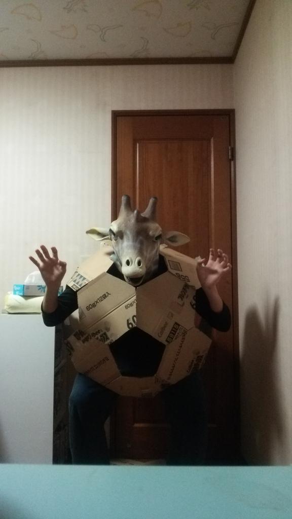 なにゆえ Gwを ポケモン ゴローニャのコスプレ制作に費やす猛者現る Kai You Net