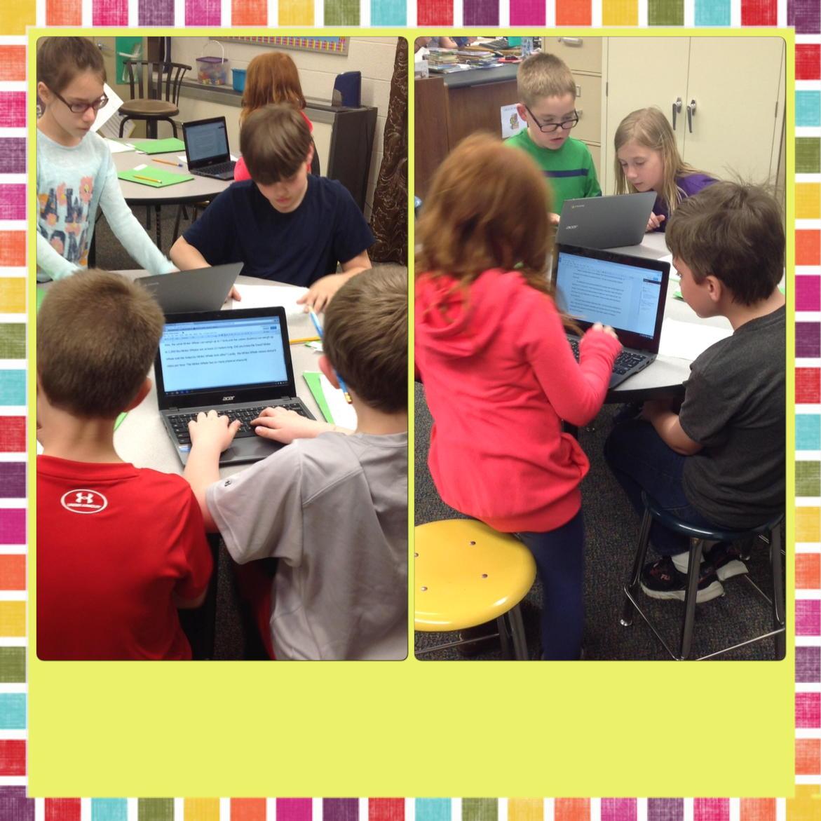 Miss Ashley Kalous tweet media