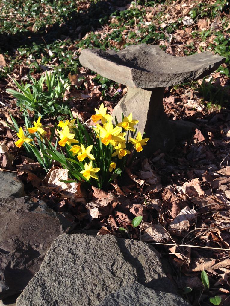 Companyinc_'s tweet image. #HappySpringTime from @Companyinc_  #smellthefreshair and #smile