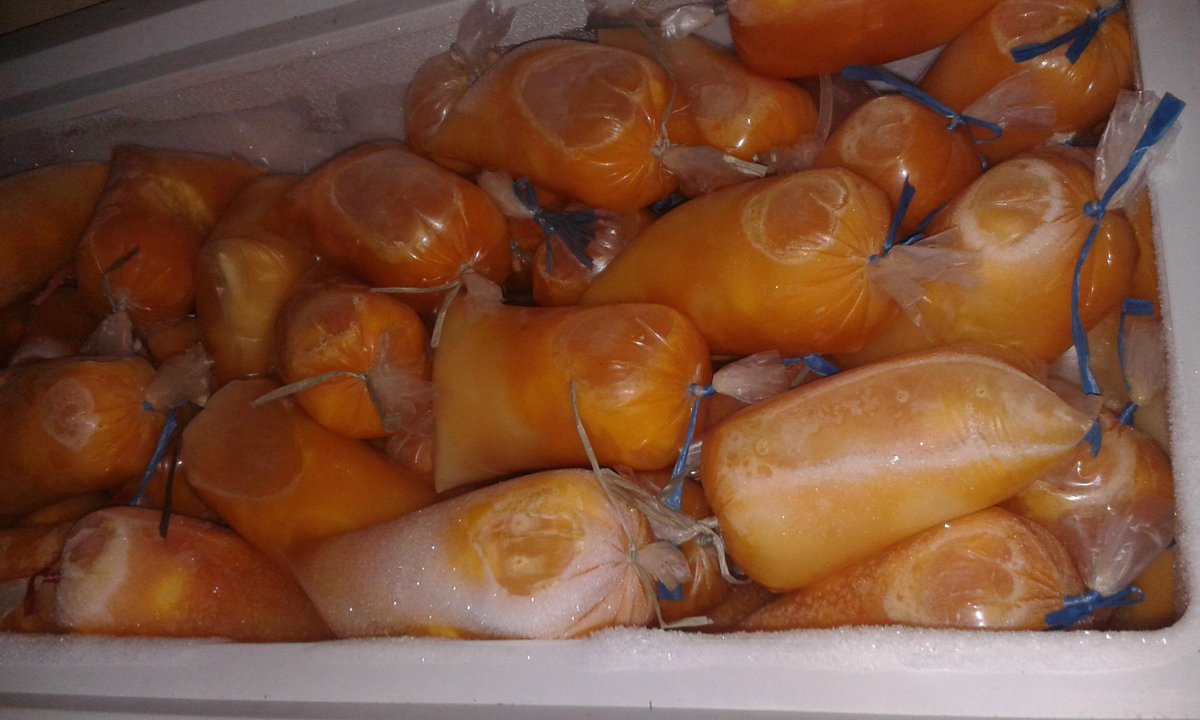 Tersedia Telur cair atau beku harga murah cocok untuk kue basah. Stok terbatas. Delivery Bintaro dst. 087808094565