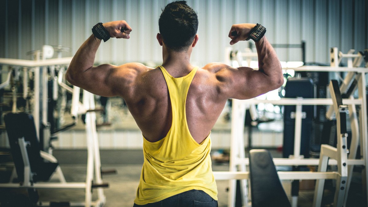 Guzmanfitness's tweet photo. Summer Shredding episode 3!! https://t.co/X1SJ36YMZs http://t.co/odUATdOUMQ