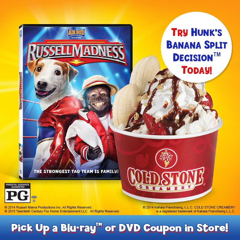 Why Do Dogs Pick Up Stones