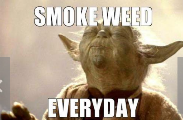 stoner_stuff's tweet photo. YODA BONG GIVEAWAY ENDS TOMORROW at 4:20 PST http://t.co/kUqJ0xXARH http://t.co/goy5EvxQkz