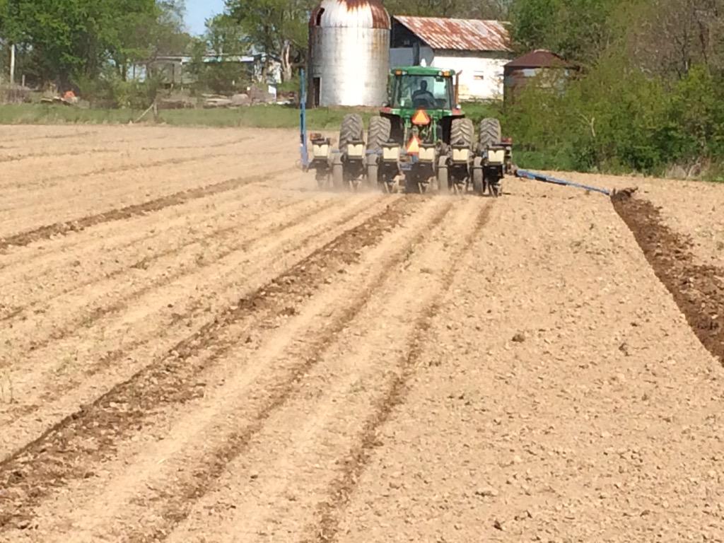 David Wolfe tweet media