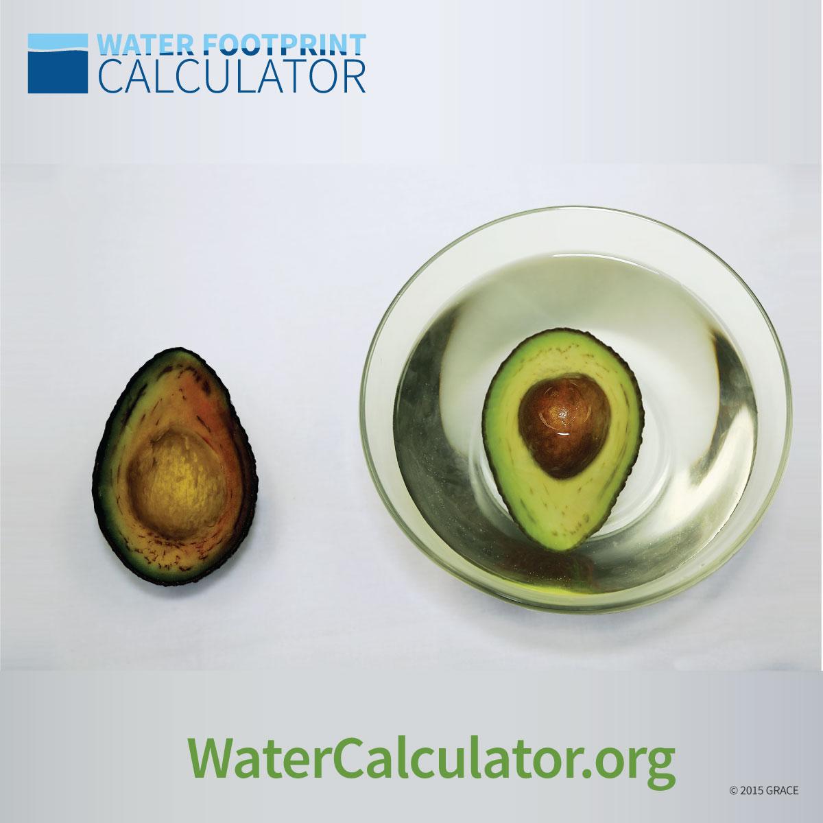 EcoCentered's tweet image. Water: nature’s plastic wrap. Next stop: houseplants!
#NoWastedFood bit.ly/1OZ57ap