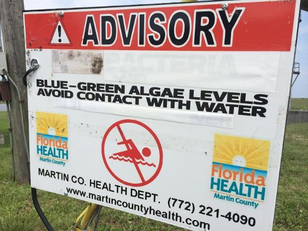ProgressFlorida's tweet photo. Signs that have been posted around Lake Okeechobee. Buy The Land, Save Our Water. #pfla #SaveFLWater http://t.co/DvDu7IwpHF