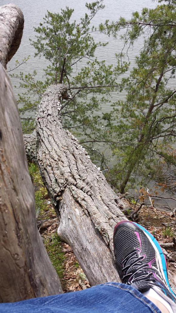 michele_ann711's tweet photo. Loungin'on a log...#delicatefew @ofarevolution http://t.co/Tckdg2V2uT