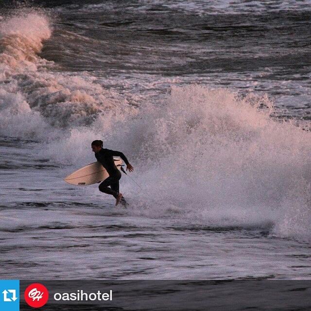 VisitLevanto's tweet photo. #picofthedaylevanto by @oasihotel
Onde in arrivo a #Levanto per questo week end..let's go surfing!
#surf #surflevanto http://t.co/LWxkkKri0r