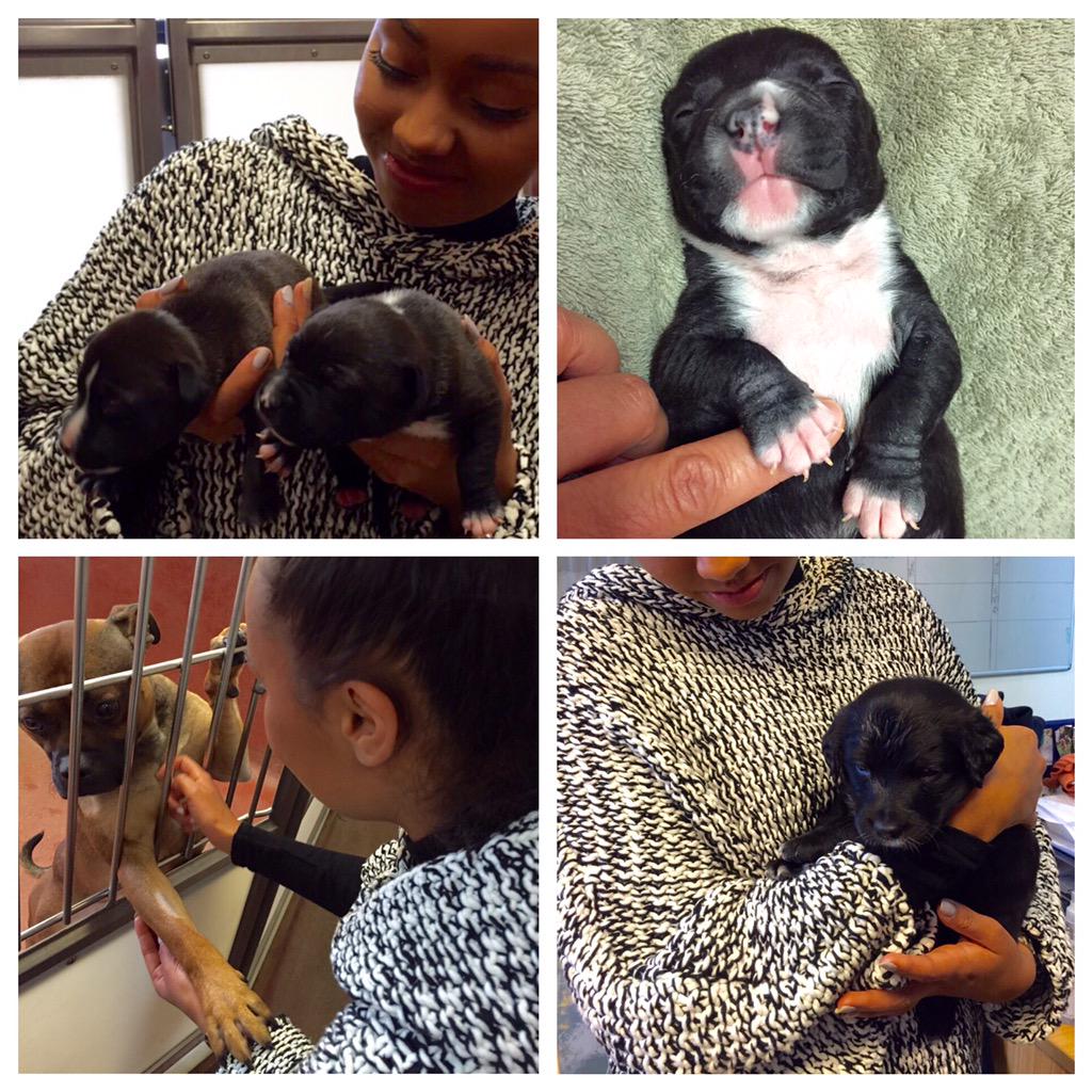 LittleMix's tweet photo. Made another visit to @BDCH yesterday.. I am so touched by the love and care that goes into this amazing charity... http://t.co/0Kbni85tp4