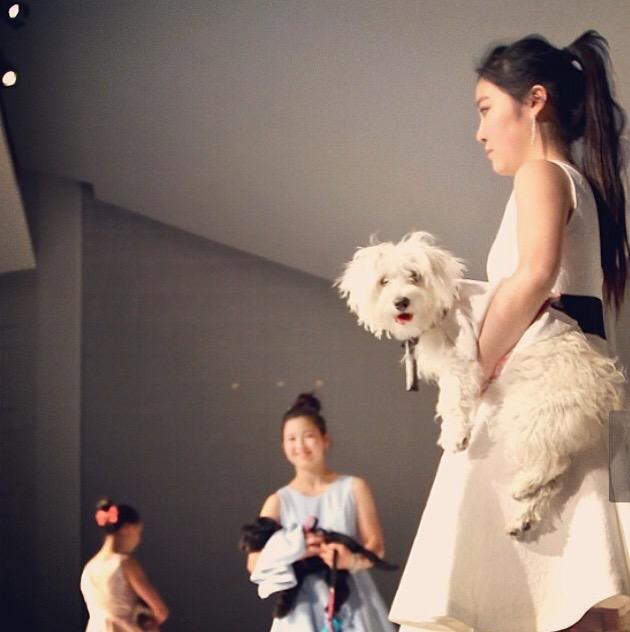 HamberFashion's tweet image. #tbt to #code2014 and Coco's collection with a few furry friends! 13 days to #juxtapose2015. Photo from @VSB39