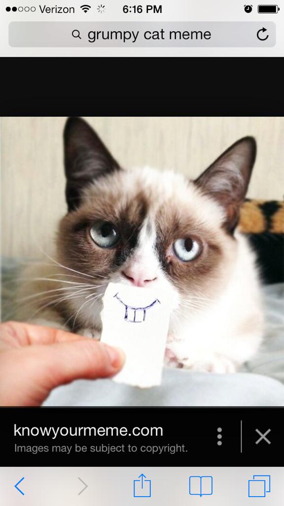 Miranda_Price01's tweet photo. First grumpy cat!! #feedUs #table30 #RACLife http://t.co/402wTDbCaX