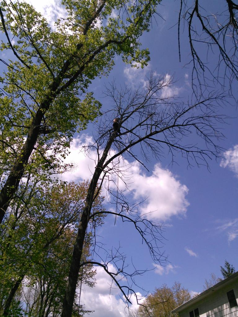 badbrad6295's tweet photo. Just another pic! http://t.co/Iwys4cWOTw