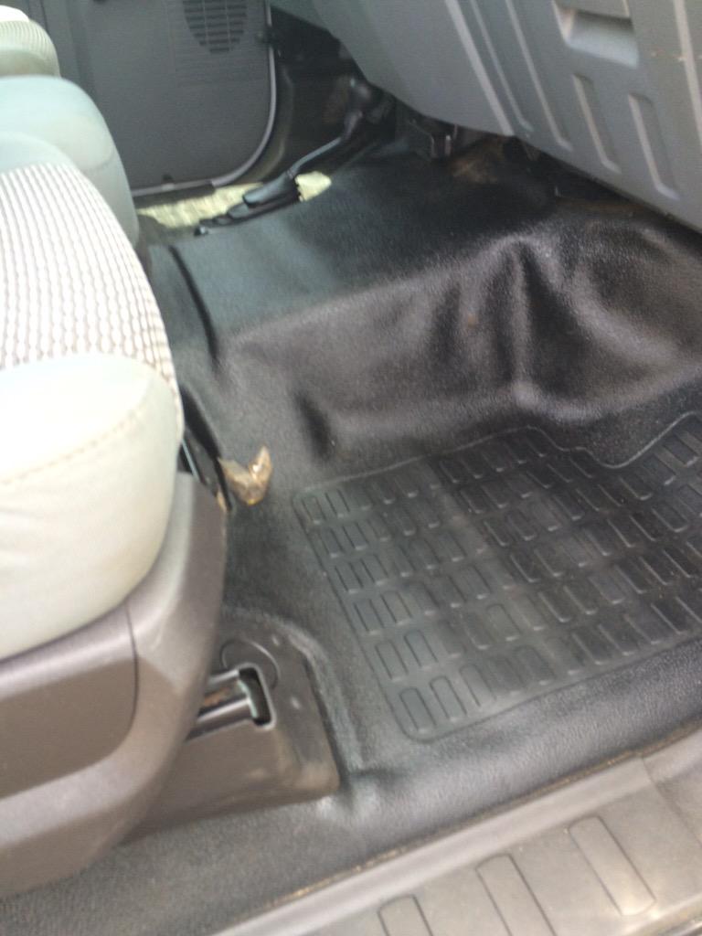 RexProDetailing tweet picture