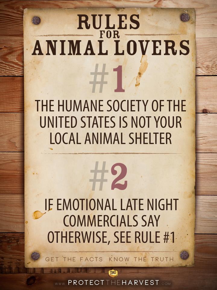 KatharineDokken's tweet photo. Rules for Animal Lovers. Don't be Fooled. @MarkWarner @RTDOpinions #HSUSsucks #HSUSScam http://t.co/PsvVEShARH