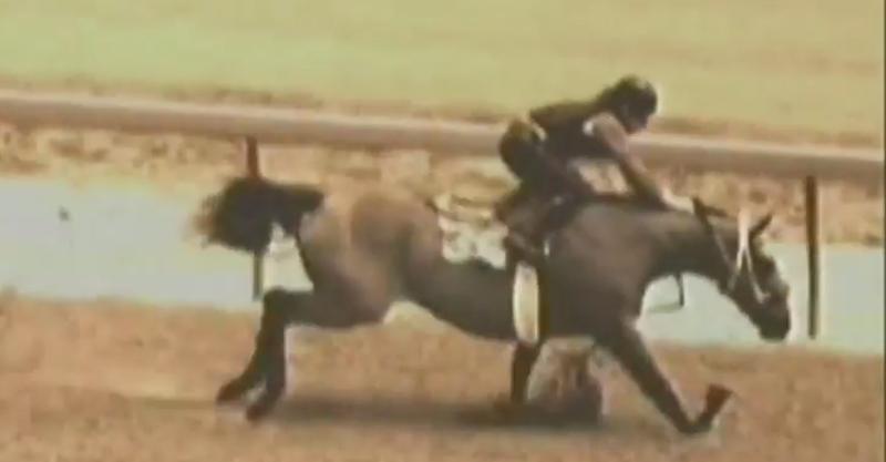 peta's tweet photo. The sound of her bone breaking is HORRIFYING.

You can see BONE FRAGMENTS fly: http://t.co/yYnxLR4uZn #KentuckyDerby http://t.co/tUTjRkEpTZ
