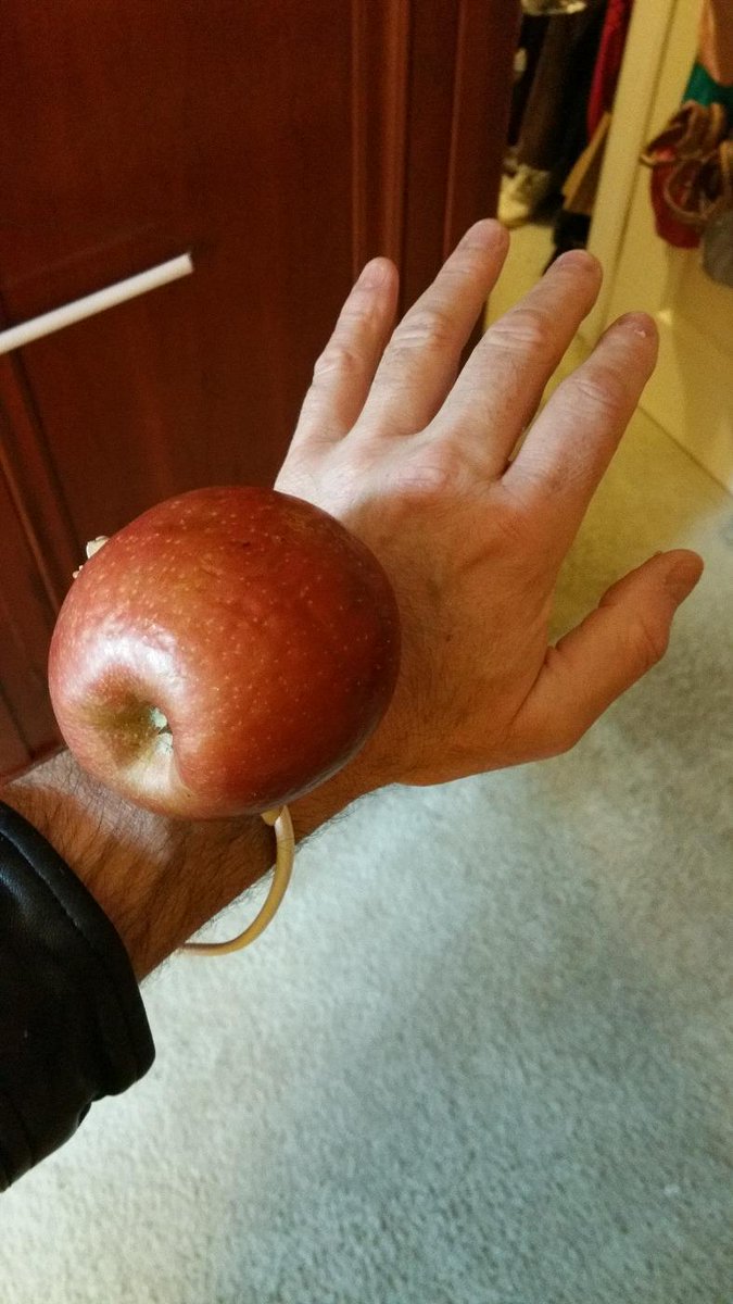 ShiTaTwit tweet picture
