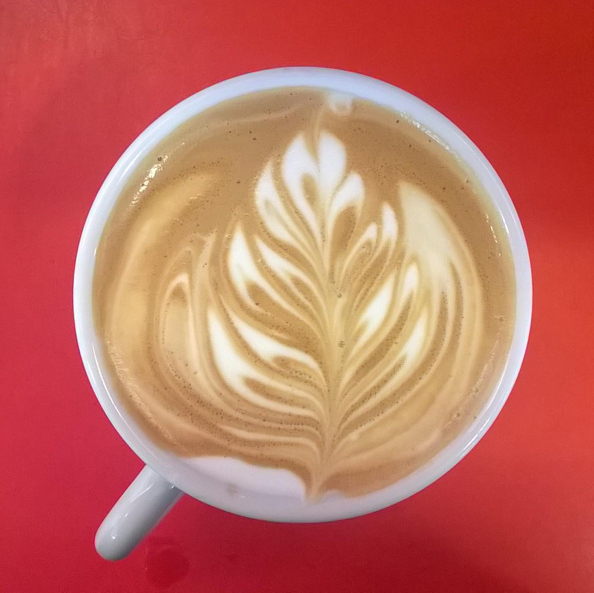 Reiem0812's tweet photo. Small #Latte at @DLWPCafeBar
 #latteart #8oz #barista http://t.co/xPhdr779kW
