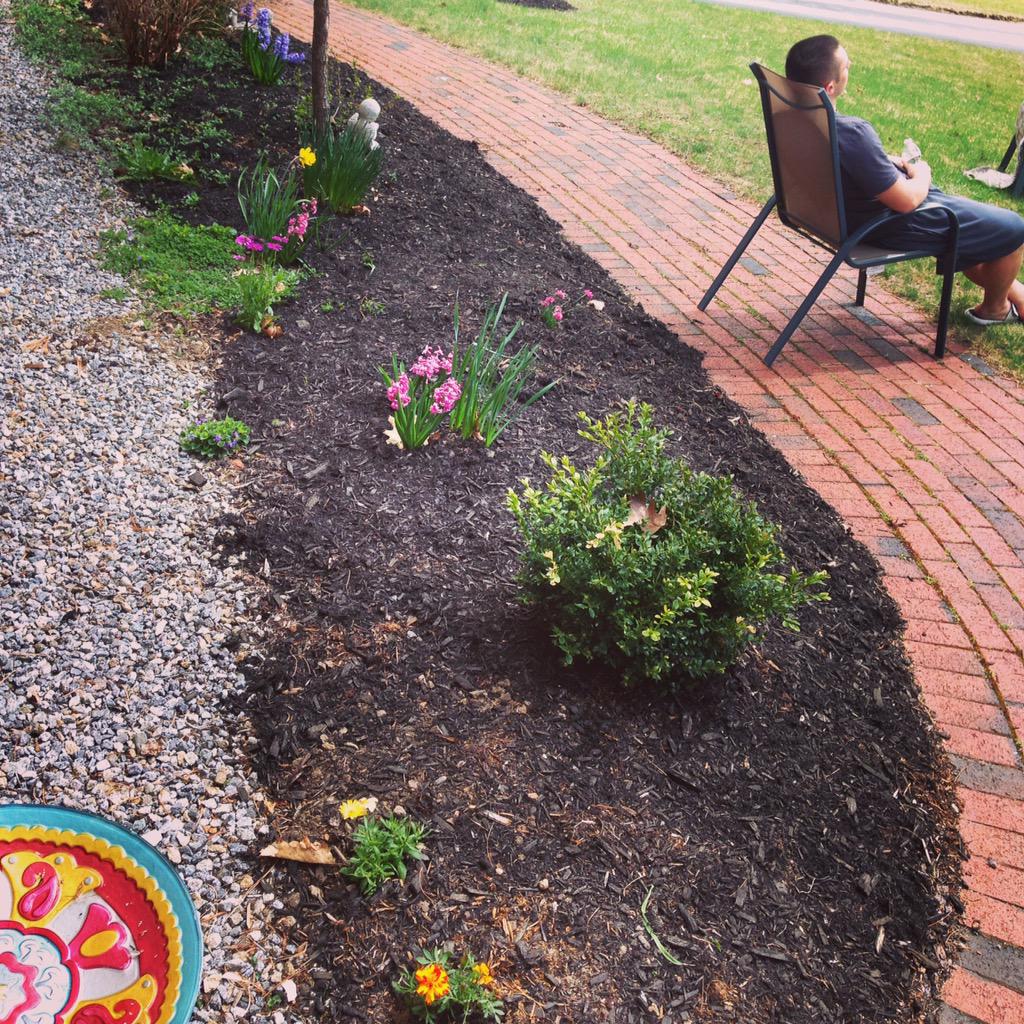 kelleyelma1's tweet photo. he is enjoying the fruits of MY labor #prettyyard #chillin #deepthoughts http://t.co/Q9wfy56M6V