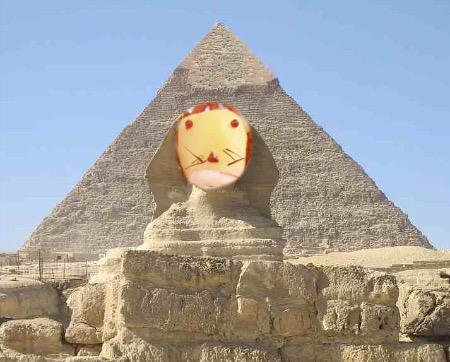 leoncomegamba_'s tweet photo. #leoncomegamba #piramide #egipto http://t.co/77pI1YxVSi