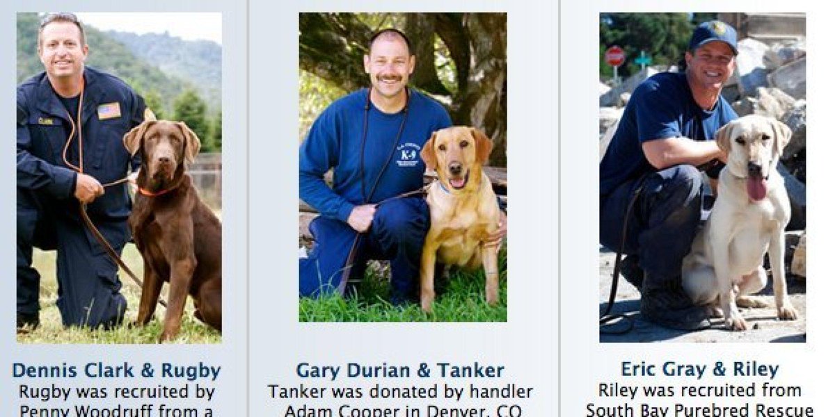 Shelter dogs now helping save lives in Nepal following earthquake huff.to/1JEhrOX