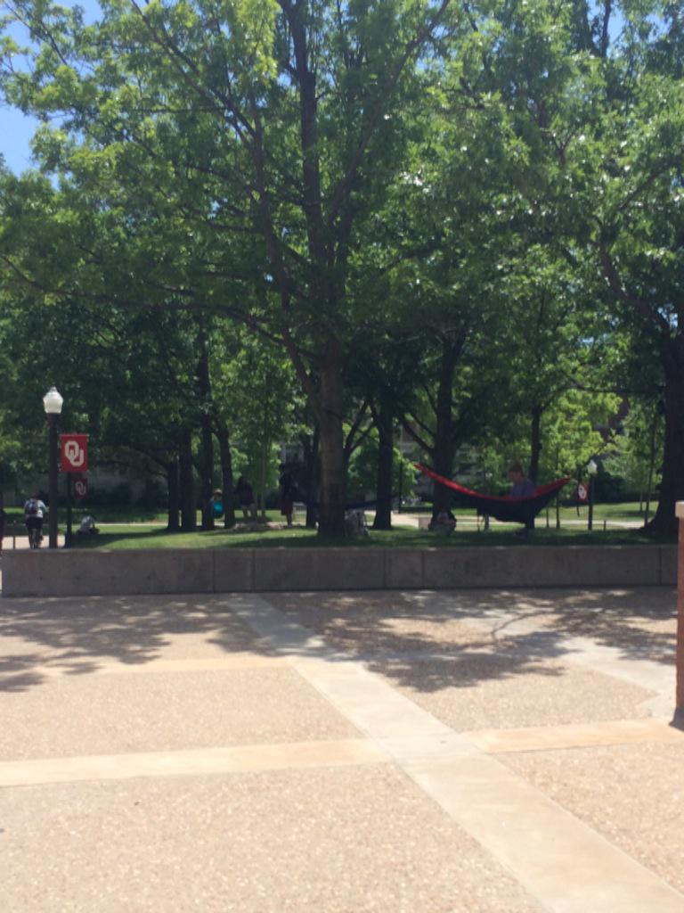 OUsquirrels's tweet photo. If you look closely you can see Communication and HR majors enjoying dead week while everyone else studies. http://t.co/uoILlgdxwT