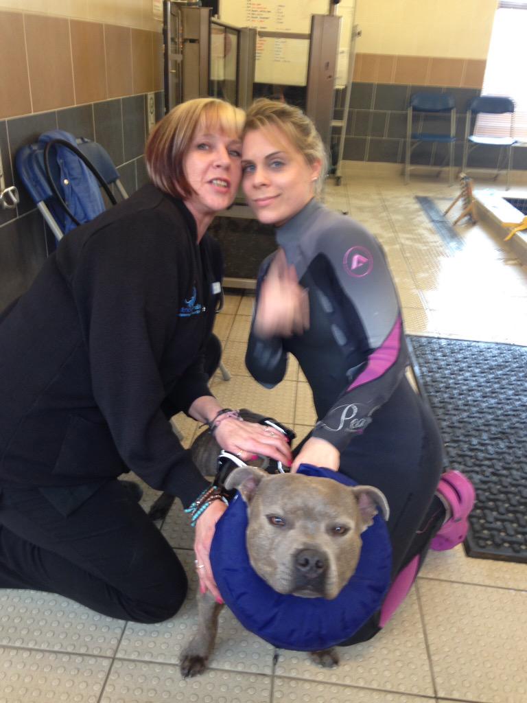 Jaspergratt's tweet photo. Guess where I've been?@SupervetNF @fitzpatrickref #25lengths #gettingstronger #keepingfit #legmobility #FUN #LOVE ❤️🐾 http://t.co/zOzr8TXLKd