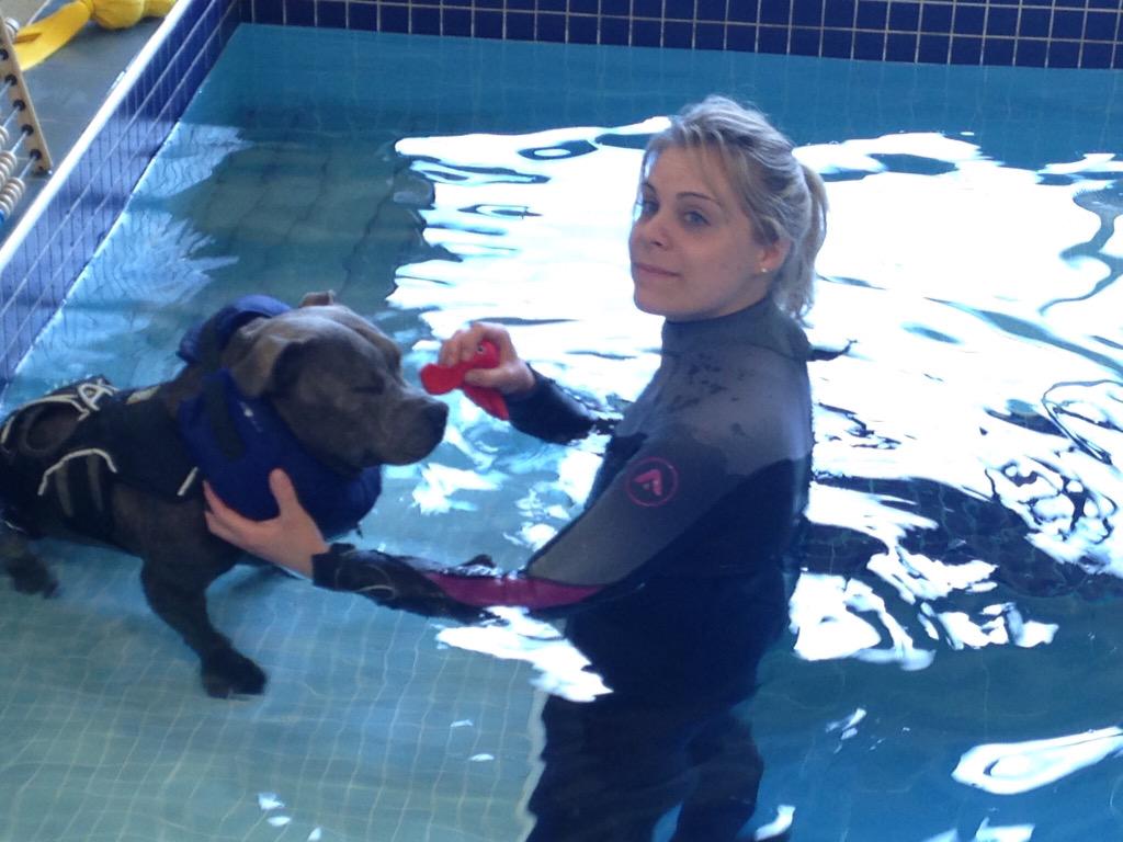 Jaspergratt's tweet photo. Guess where I've been?@SupervetNF @fitzpatrickref #25lengths #gettingstronger #keepingfit #legmobility #FUN #LOVE ❤️🐾 http://t.co/zOzr8TXLKd
