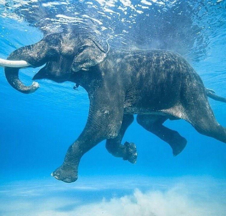 kokostambuk's tweet photo. #felicidad #amor #agua #el love
Busca lo simple, busca cerca, tienes todo para ser feliz🙏 http://t.co/qh455mqkUI
