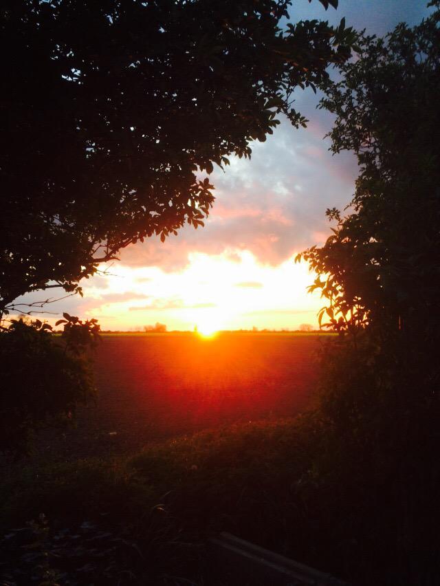 dj_gray_67's tweet photo. A beautiful sunset @TheGoatFrognall #happydays http://t.co/iOko5NjmgW